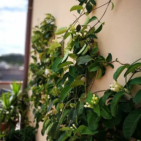 Elafi Penthouse * Cagliari